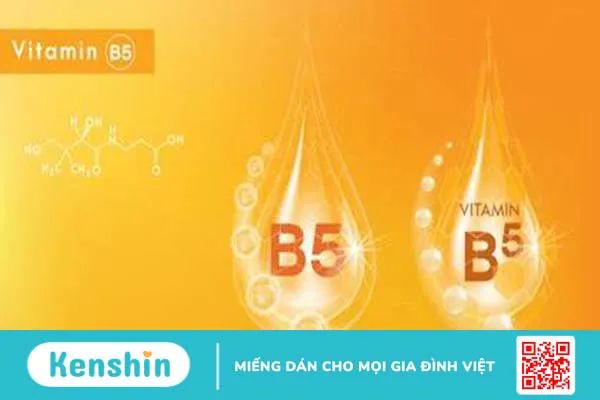 Provitamin B5 là gì? Công dụng của Provitamin B5