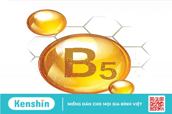 Provitamin B5 là gì? Công dụng Provitamin B5?