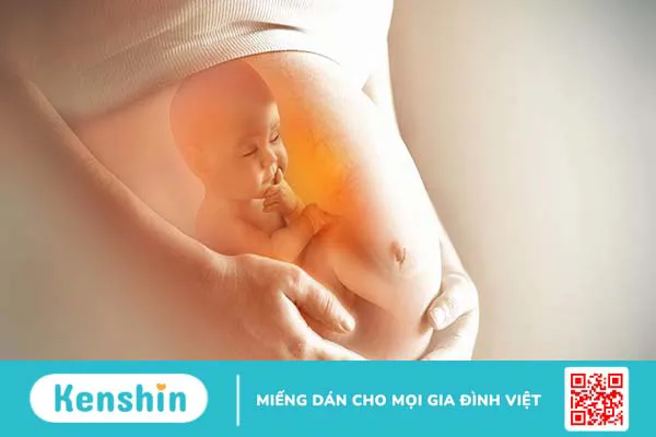 Quá trình sản xuất hồng cầu trong cơ thể người