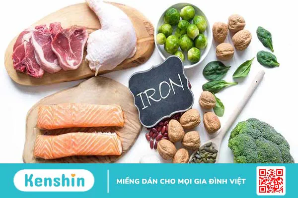 Quá trình sản xuất hồng cầu trong cơ thể người