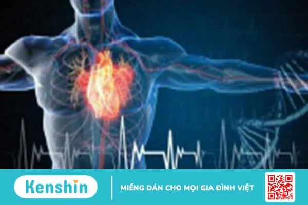 Quy trình khám bệnh nhân suy tim diễn ra như thế nào? 