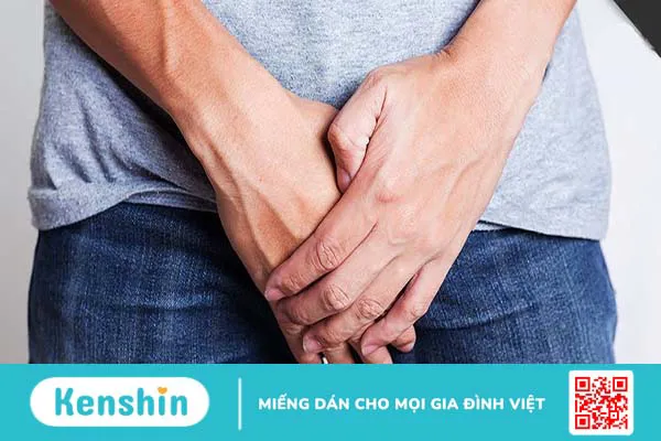 Rãnh quy đầu là gì? Các bệnh thường gặp tại rãnh quy đầu