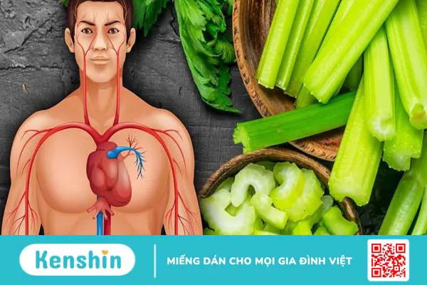 Rau cần tây có tốt cho nam giới không? 7 lợi ích ít ai ngờ đến 2