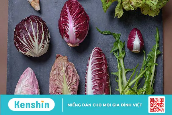 Rau diếp xoăn Radicchio có lợi ích gì? Giá trị dinh dưỡng của rau diếp Radicchio