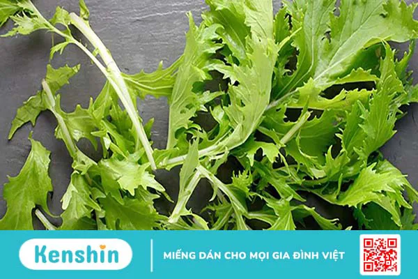 Rau mù tạt là gì? 5 lợi ích sức khỏe của rau mù tạt