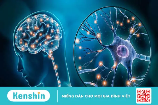 Rối loạn hệ thần kinh thực vật: Triệu chứng, nguyên nhân và cách điều trị