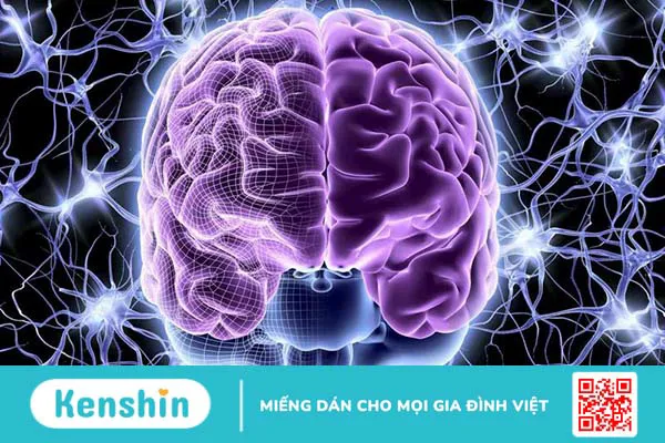 Rối loạn thần kinh: Hiểu rõ hơn về căn bệnh để có biện pháp phòng ngừa