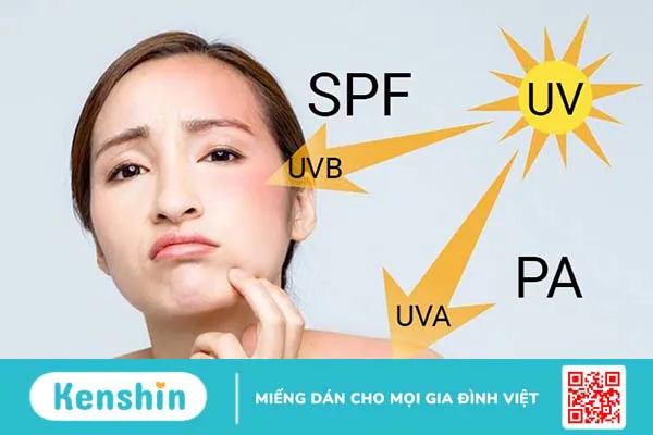 Sẩn ngứa: Nguyên nhân, dấu hiệu và phương pháp điều trị