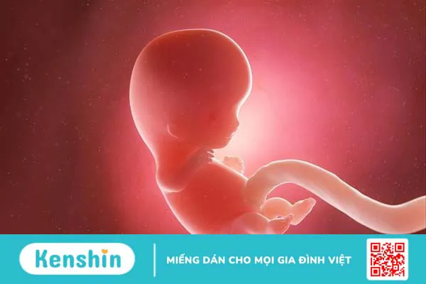 Sau khi cắt vòi trứng có kinh nguyệt không? Có ảnh hưởng tới việc mang thai sau này không?