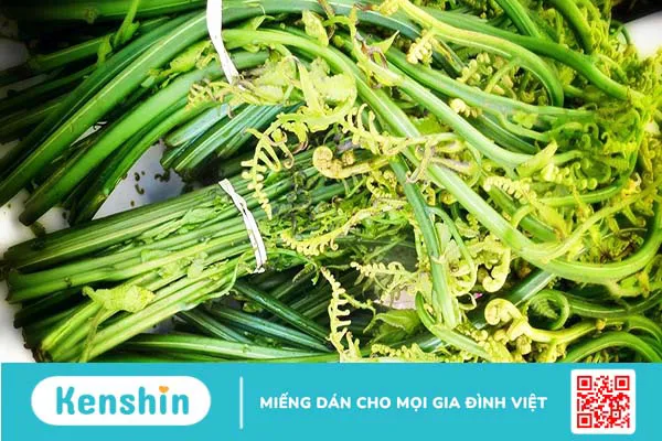 Sau sinh ăn rau dớn được không? Lưu ý khi ăn rau dớn