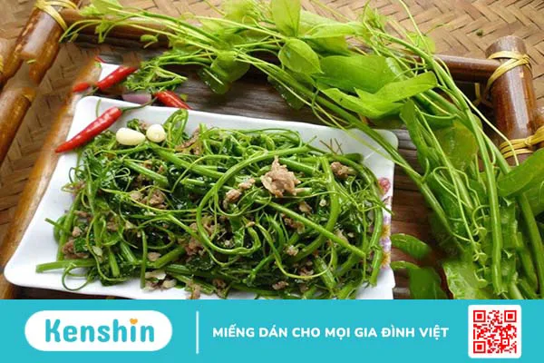 Sau sinh ăn rau dớn được không? Lưu ý khi ăn rau dớn