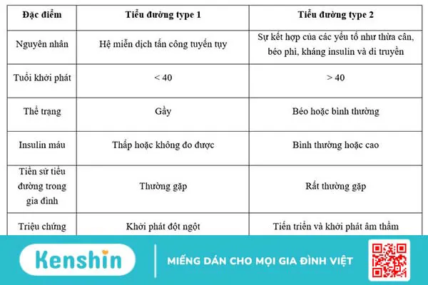 Phân biệt và so sánh tiểu đường type 1 và type 2 3