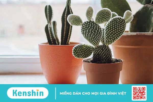 Sóng điện thoại có ảnh hưởng đến trẻ sơ sinh? 4