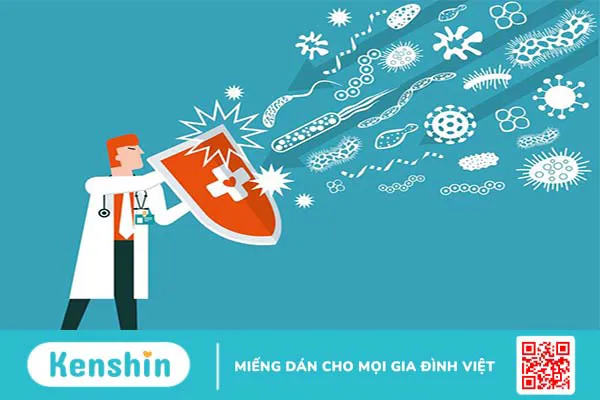 Sữa tăng cường hệ miễn dịch cho người lớn và những điều cần biết 1