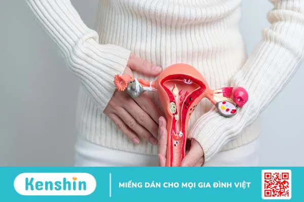 Suy buồng trứng nguyên phát và những thông tin quan trọng cần biết