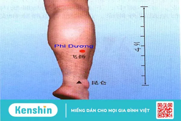 Huyệt phi dương công dụng đối với sức khỏe con người - 1