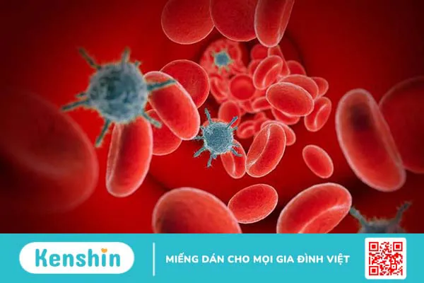 Tải lượng virus là gì? Khi nào cần thực hiện xét nghiệm tải lượng virus?