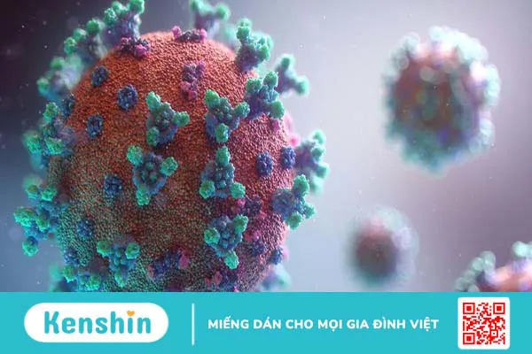 Tải lượng virus là gì? Khi nào cần thực hiện xét nghiệm tải lượng virus?