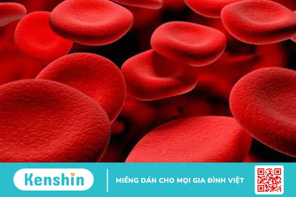 Tại sao cần sàng lọc thalassemia?1