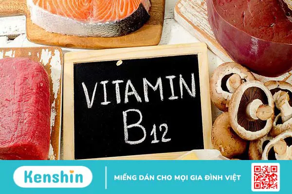 Tại sao thiếu vitamin B12 gây thiếu máu hồng cầu to?