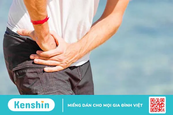 Vị trí của nhóm cơ Hip Flexor trên cơ thể 3