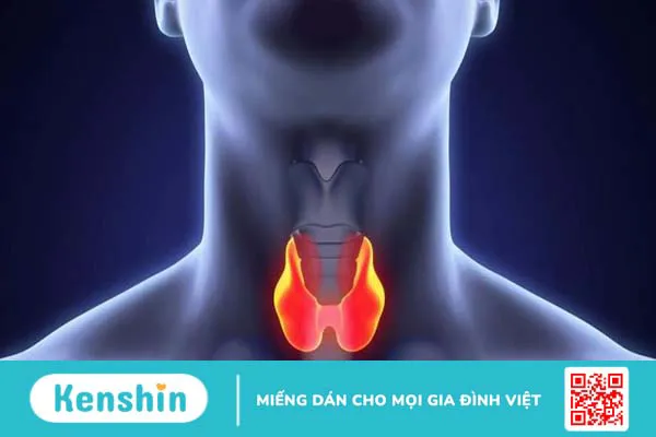 Tầm quan trọng của mổ nội soi tuyến giáp