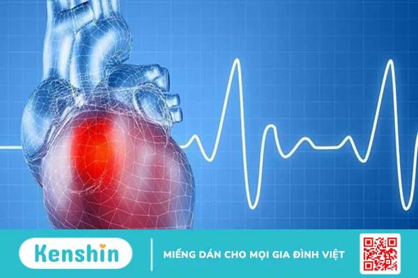 Tăng gánh thất trái là gì? Nguyên nhân và phương pháp điều trị hiệu quả