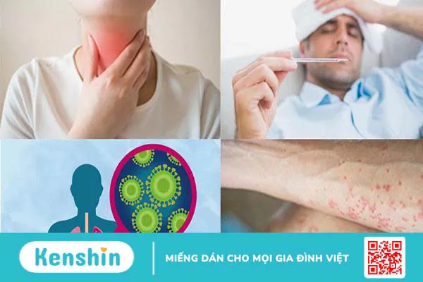 Tế bào lympho và những điều cần biết