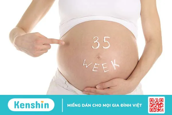 Thai 35 tuần nặng 3kg có to không? Chế độ dinh dưỡng cân đối cho bà bầu 35 tuần 2