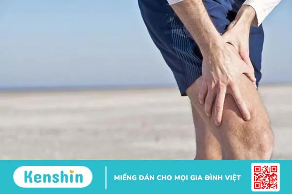 Thần kinh bịt là gì? Nguyên nhân nào gây chấn thương dây thần kinh bịt? 1