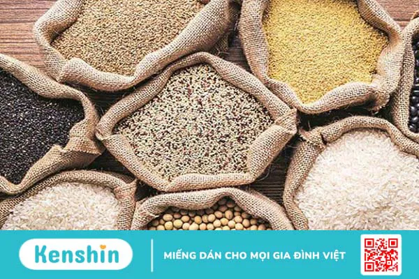 Tháp dinh dưỡng cho người trưởng thành: Chế độ ăn phù hợp cho sức khỏe