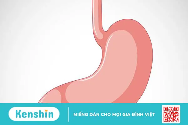 Thế nào dấu hiệu bao tử có vấn đề?