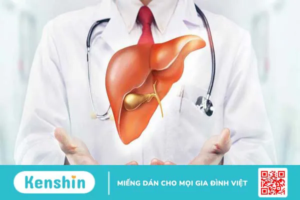 Thoái hóa mỡ ở gan có nguy hiểm hay không?