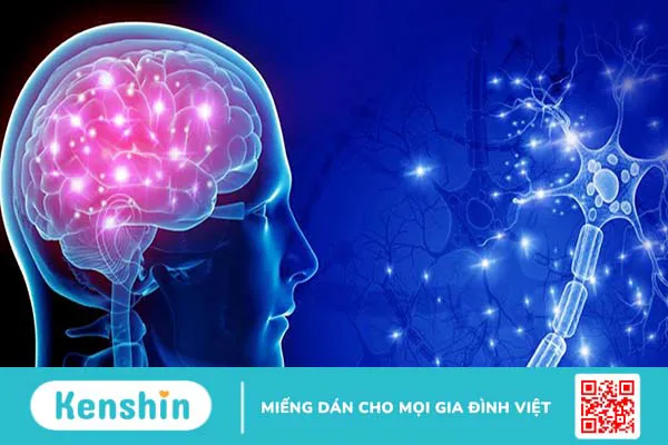 Thuốc tăng dẫn truyền thần kinh là gì? Những trường hợp nào được chỉ định loại thuốc này?