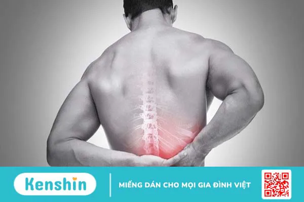 Tiêm thẩm phân rễ thần kinh trong điều trị đau do thoát vị đĩa đệm