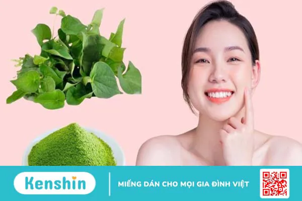 Tìm hiểu chi tiết cách trị mụn trứng cá bằng rau diếp cá