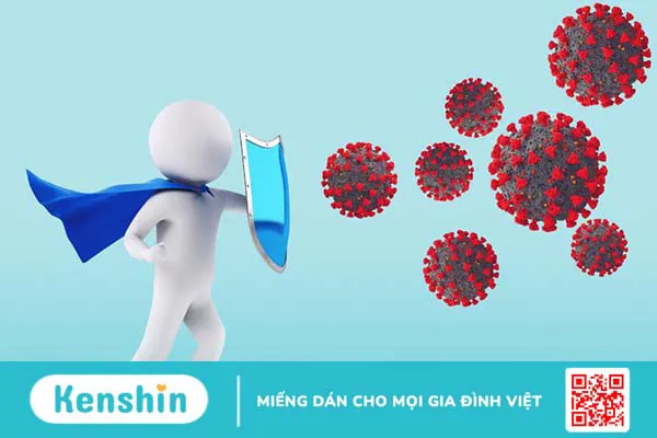 Tìm hiểu chi tiết về Globulin miễn dịch