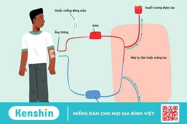 Tìm hiểu chi tiết về phương pháp thay lọc huyết tương