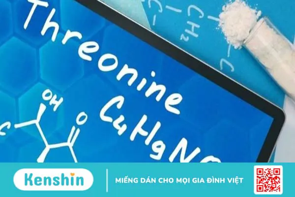 Tìm hiểu Threonin là gì? Threonin có vai trò như thế nào đối với sức khỏe con người?