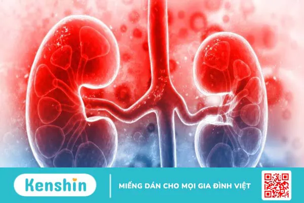 Tìm hiểu về bệnh đái tháo nhạt do thận