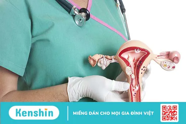 Tìm hiểu về cấu trúc và sinh lý của hệ sinh dục nam và nữ