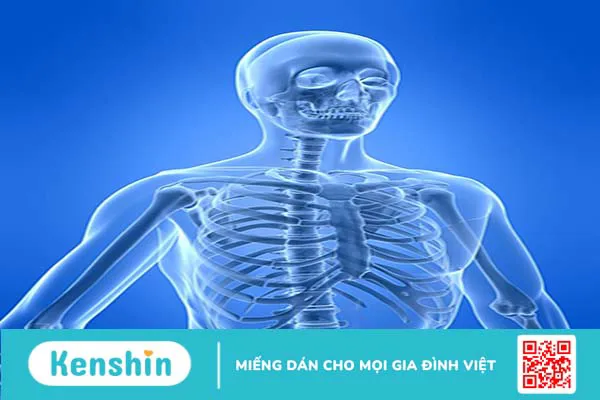 Tìm hiểu về hệ xương trong cơ thể người