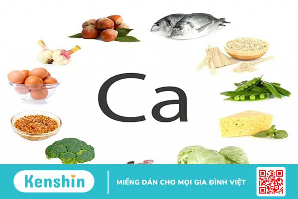 Tìm hiểu về hệ xương trong cơ thể người