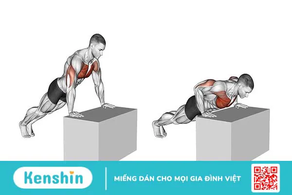 Tìm hiểu về incline push up – Bài tập phát triển cơ ngực hiệu quả