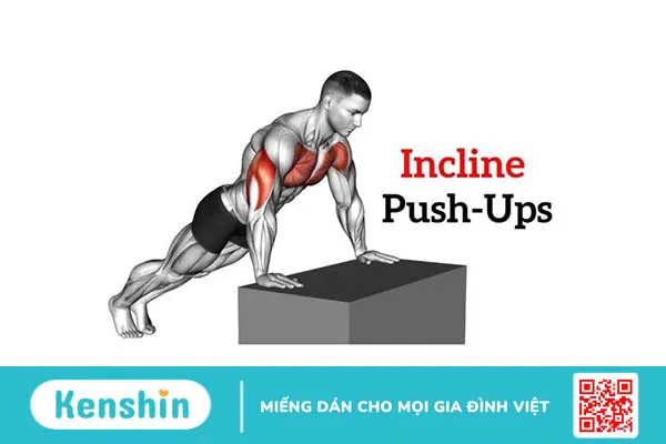 Tìm hiểu về incline push up – Bài tập phát triển cơ ngực hiệu quả