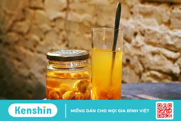 Tìm hiểu về lợi ích mà mơ ngâm đường mang lại cho sức khoẻ