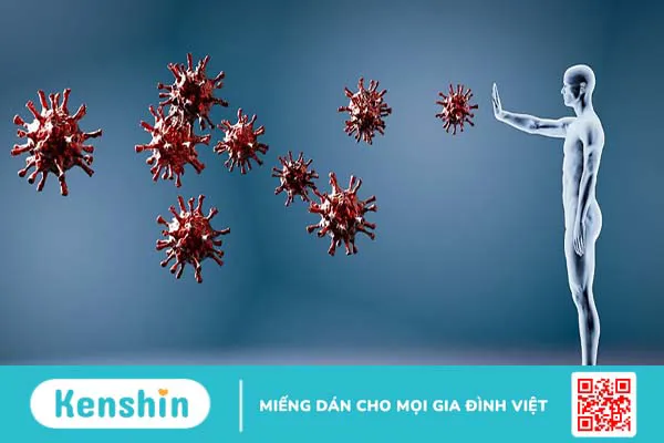 Tìm hiểu về tầm quan trọng của hệ miễn dịch