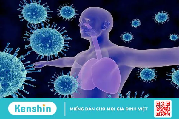 Hệ miễn dịch và tổng hợp mọi thông tin bạn cần biết 1