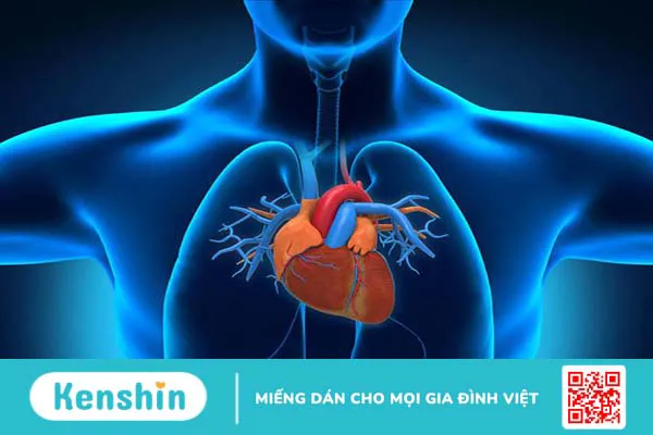 Tìm hiểu về vai trò của phương pháp xét nghiệm đo IVC trong hồi sức dịch 1