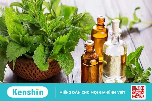 Tinh dầu bạc hà có những công dụng gì? Tác dụng phụ khi sử dụng quá nhiều